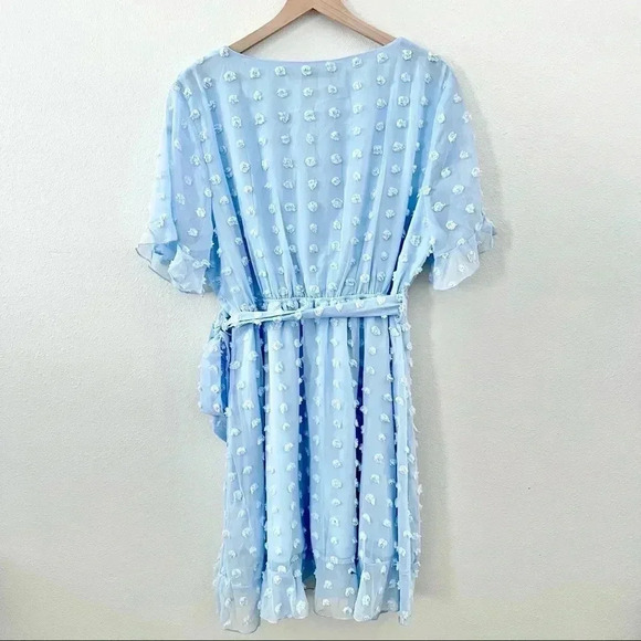 Plushe Baby Blue Dress - Picture 3 of 7